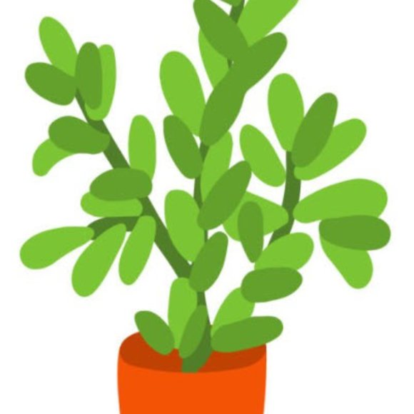 Meet your Posher, Caitlin - Picture 1 of 1